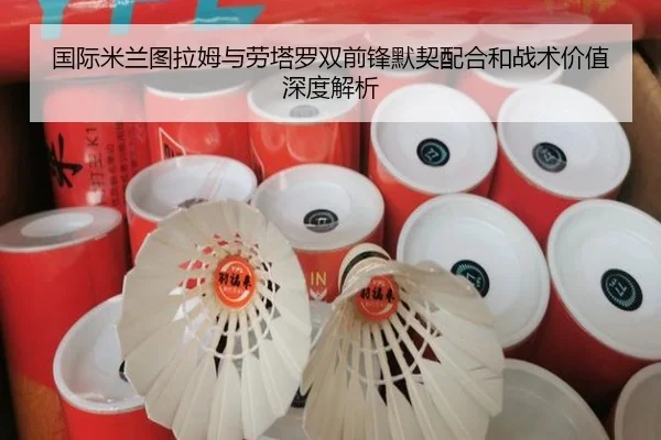 国际米兰图拉姆与劳塔罗双前锋默契配合和战术价值深度解析