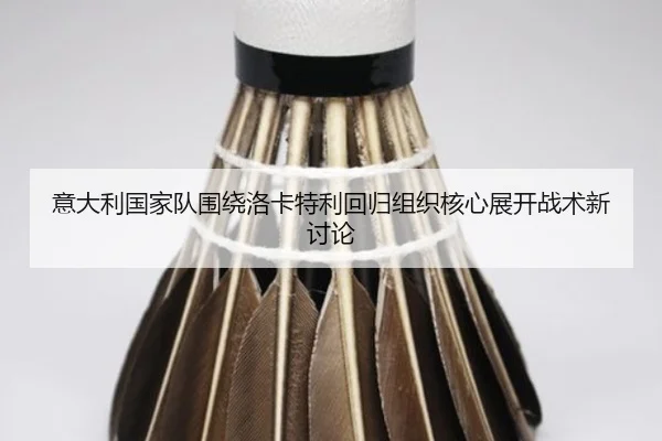 意大利国家队围绕洛卡特利回归组织核心展开战术新讨论